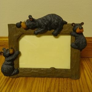 Frame with 3 black bear cubs
